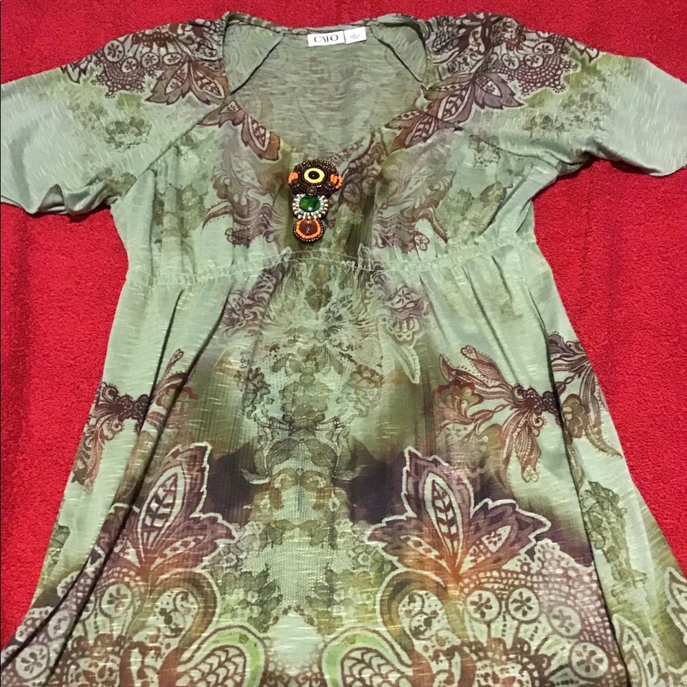 Fancy  green and brown blouse